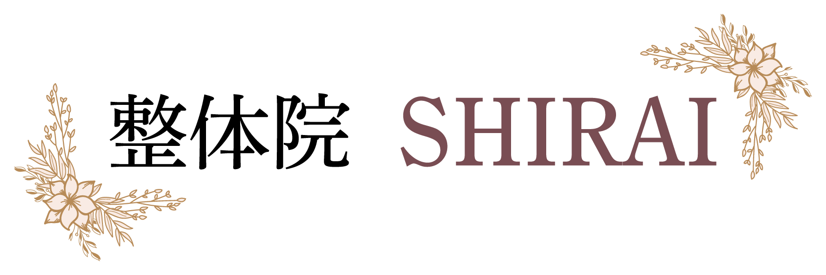 整体院 SHIRAI